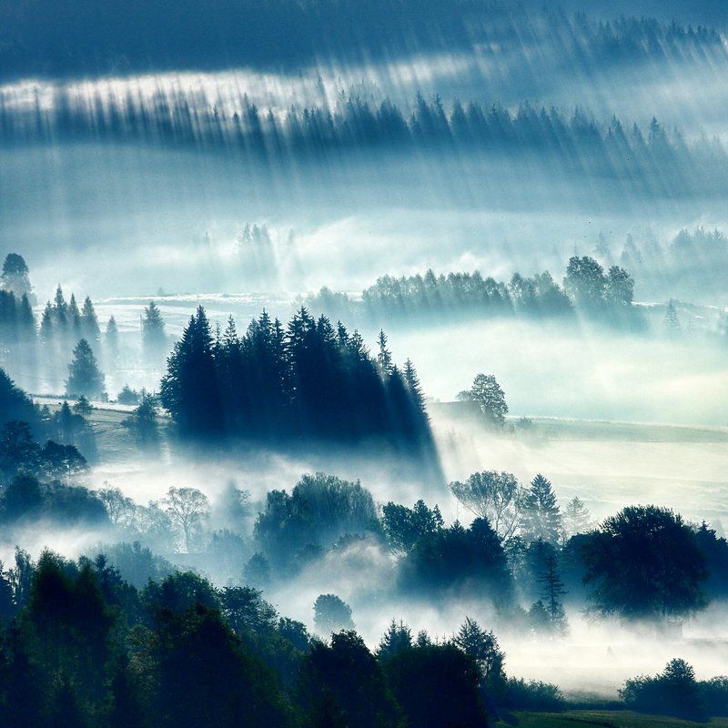 mountains, fog  Morning fog фото превью