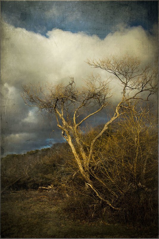 Ассимиляция фото превью