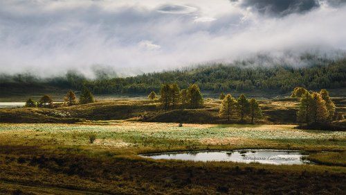 Ештыкель в тумане