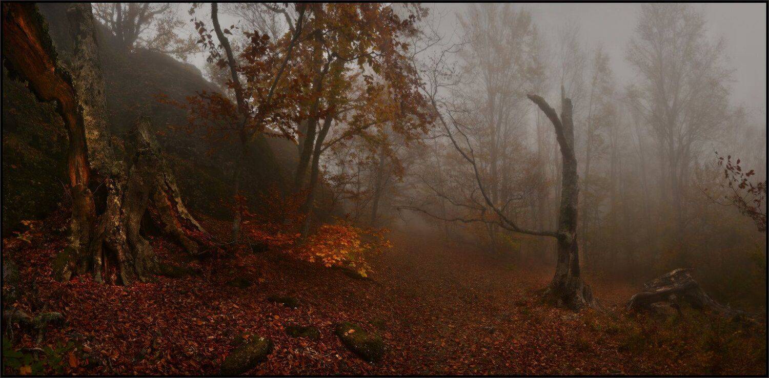 , Владимир Метцгер