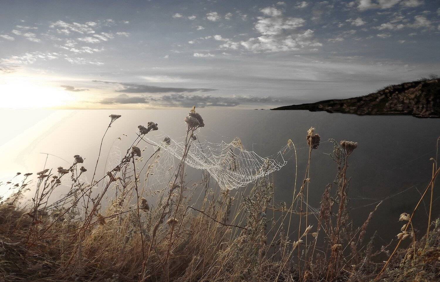 одесса, Сергей Кошелев