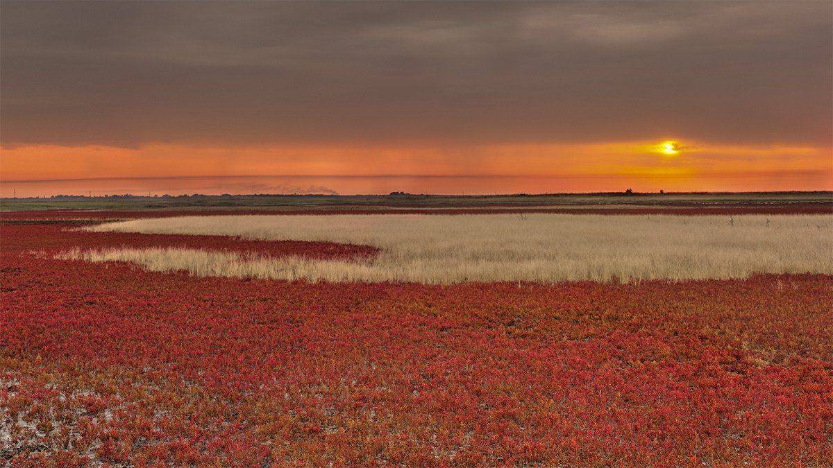 Закат, На закате, Небо, Солерос, Солнце, Степь, Роман Рысь