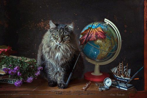 Учитель в законе