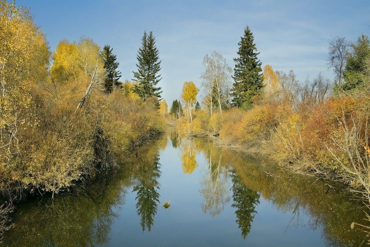 , Николай Морский