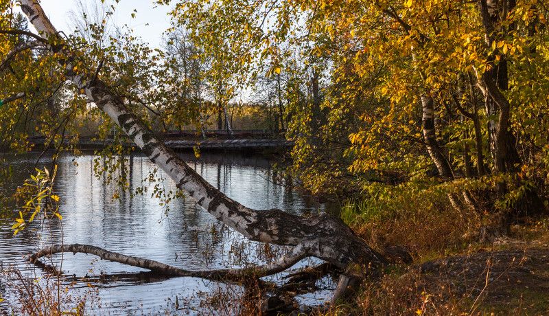 Осеннее настроение фото превью