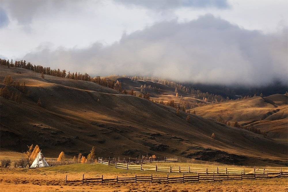 , Андрей Ершов
