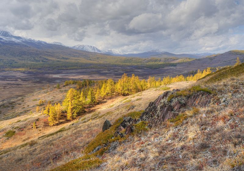 Золотая жила фото превью