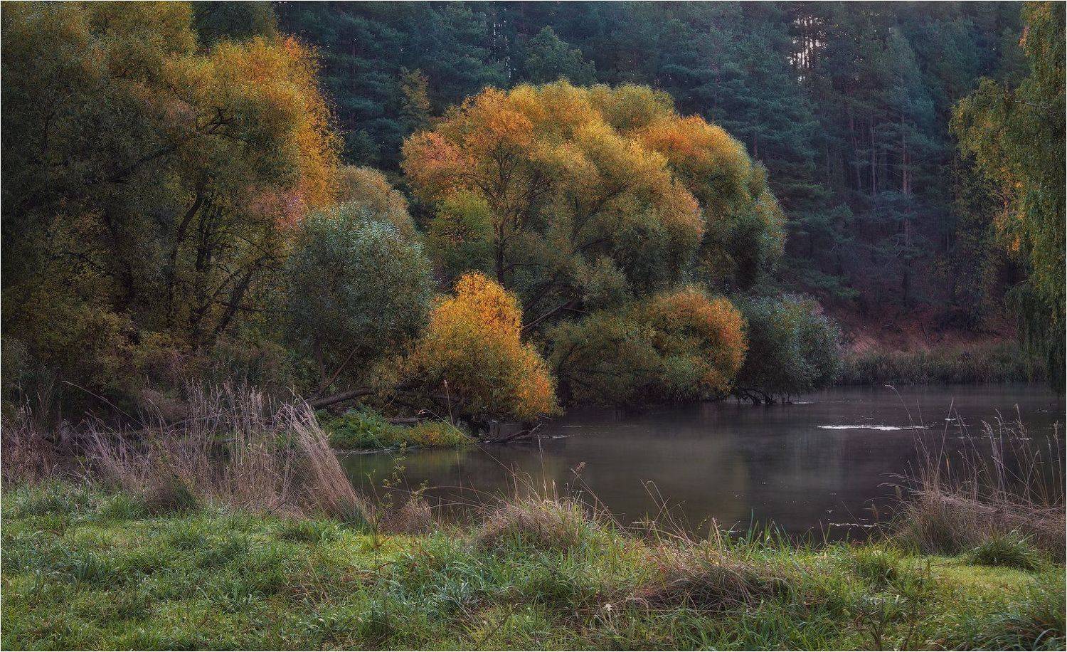 Лес, Осень, Река, Сергей Шабуневич