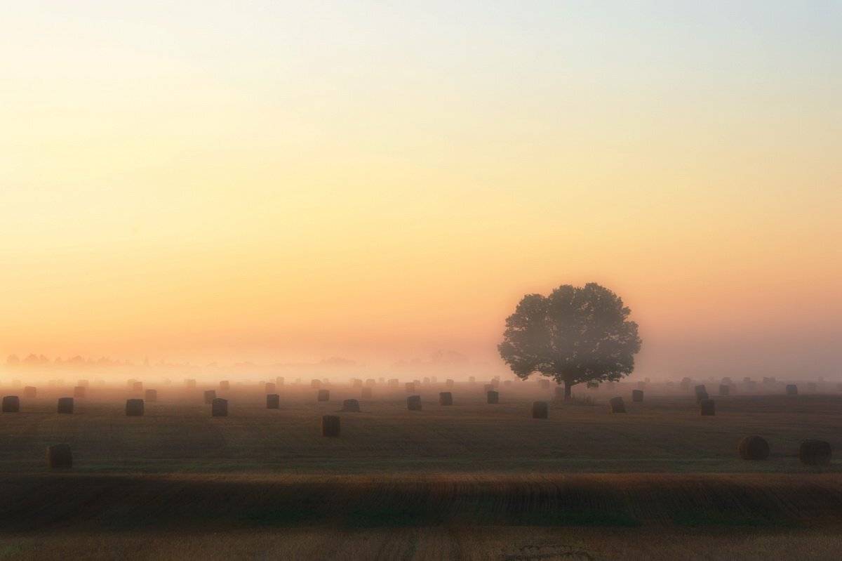 , Валерий Кондратов