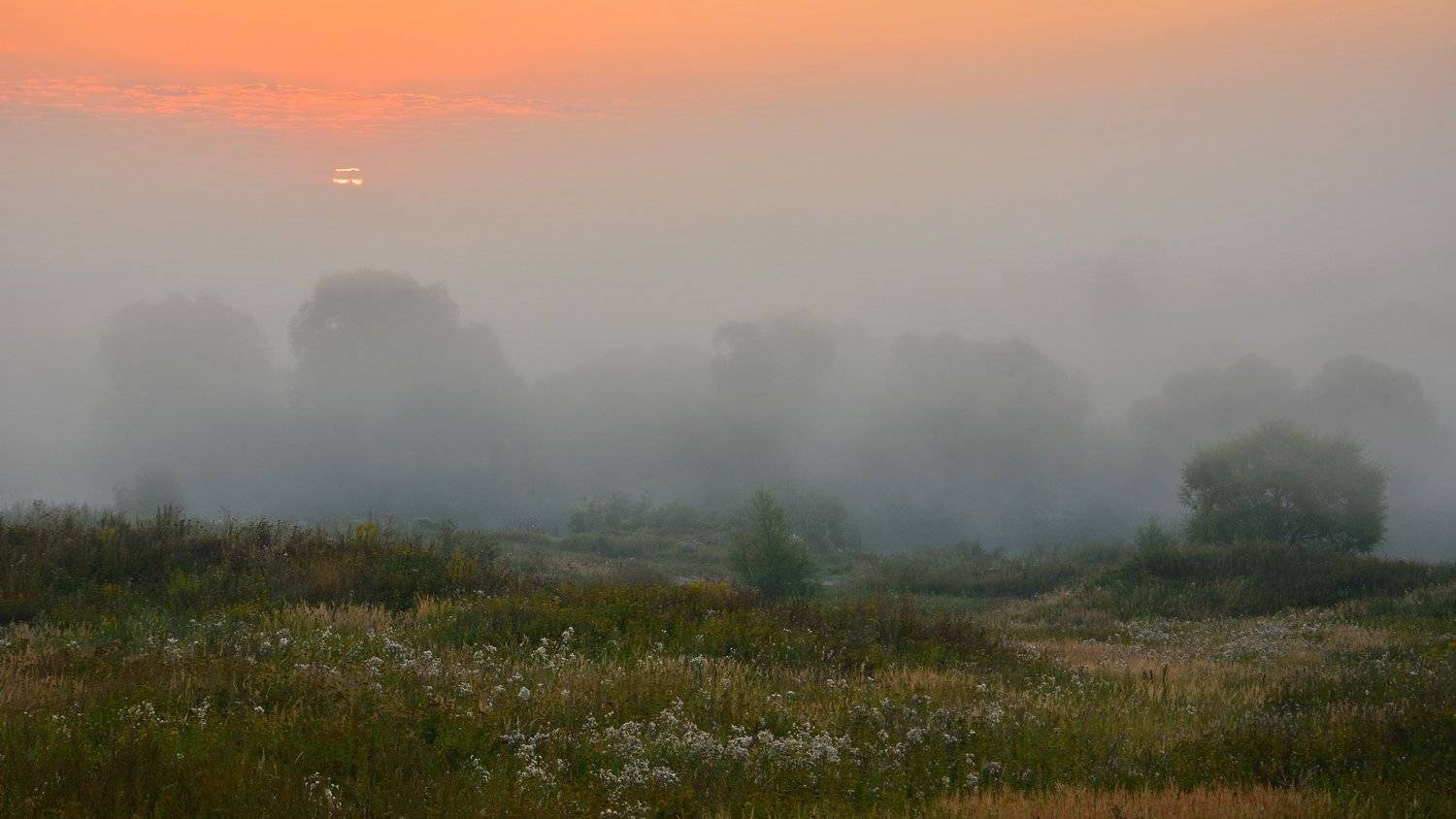 , Руслан Сигушин
