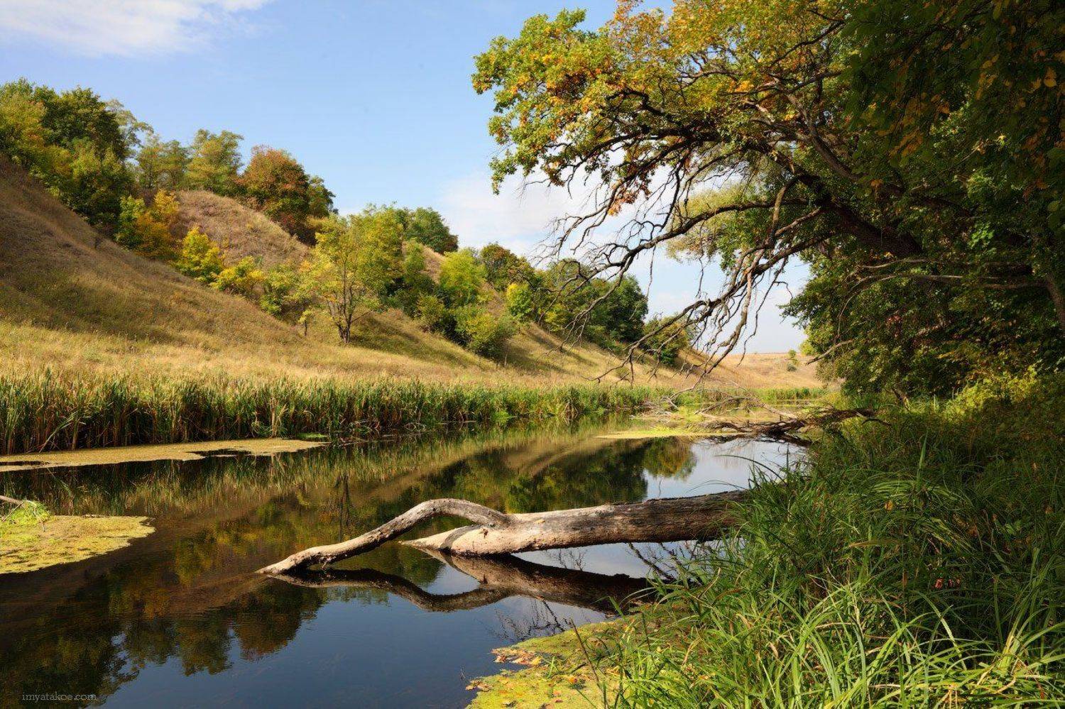 , Михаил Псарёв