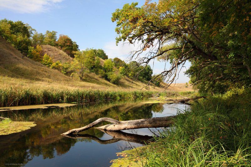 Ностальгия по лету фото превью