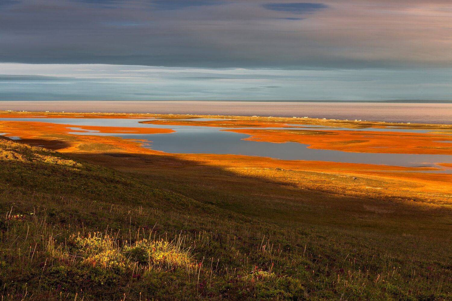 арктика, таймыр, море лаптевых, бабье лето, закат, тундра, красноярский край, Кирилл Уютнов