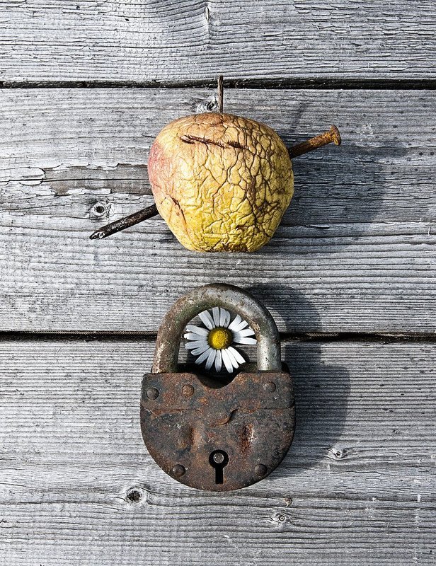 No many? No sex! фото превью