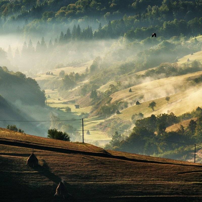 , Stefan Chirobocea