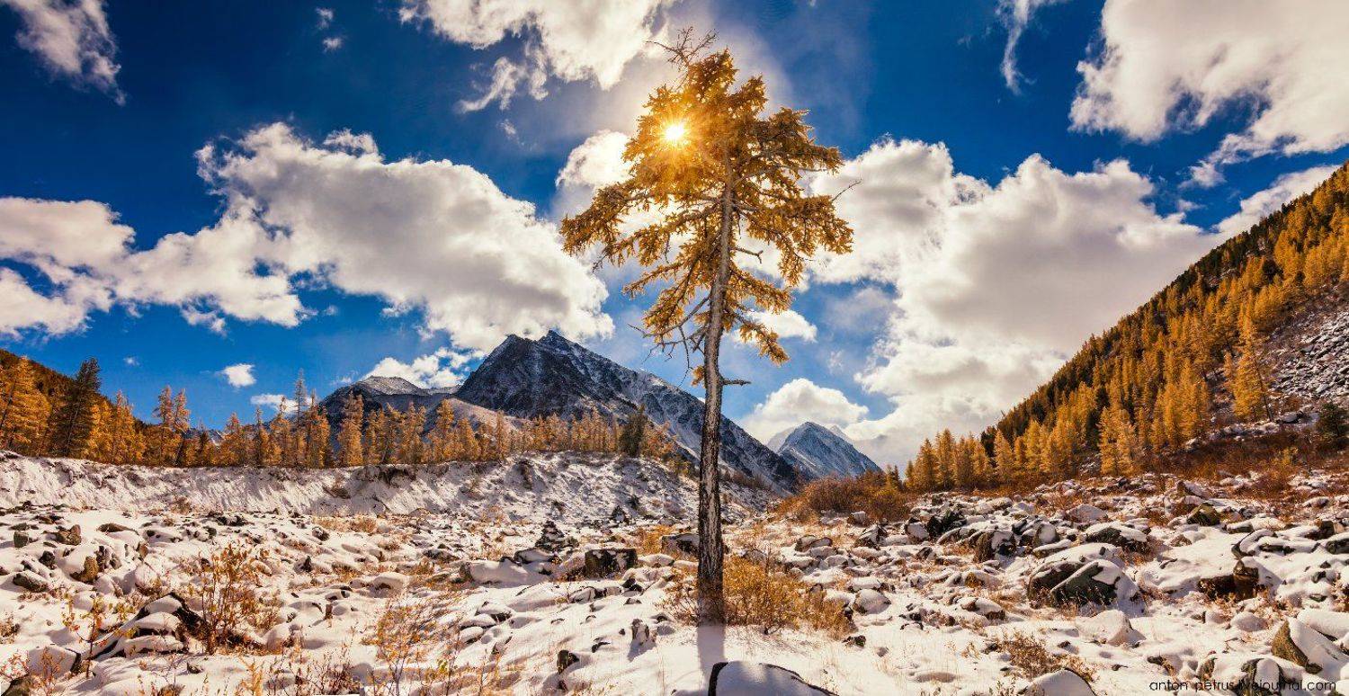 Белуха, Горы, Осень, Панорама, Рассвет, Снег, Антон Петрусь
