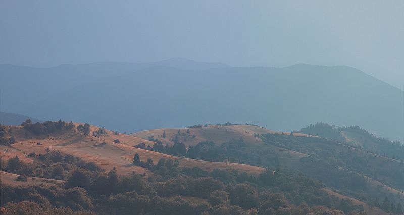 ... фото превью