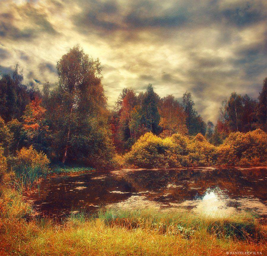 , Пантелеев Илья