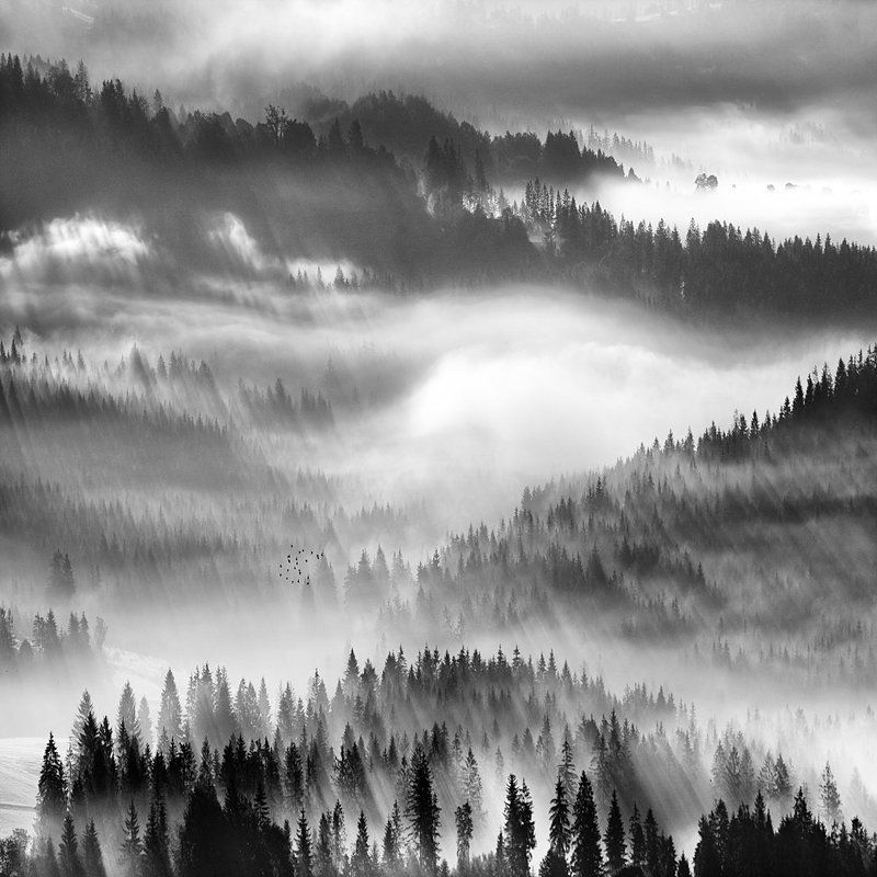 Fog,mountains Valley fog ... фото превью