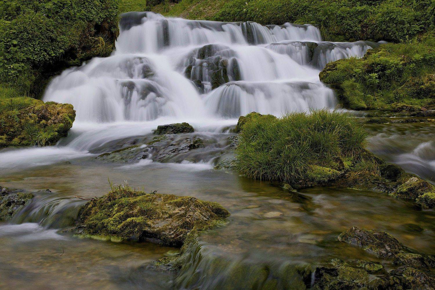 , Александр Бурдин