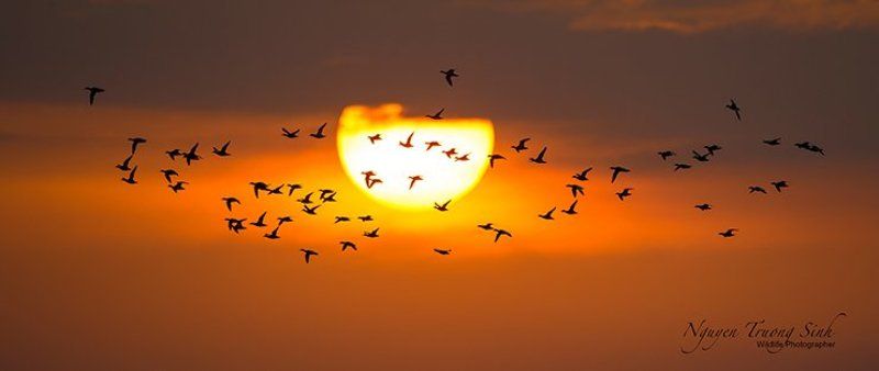 Sunset фото превью