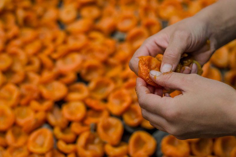 Apricotland фото превью