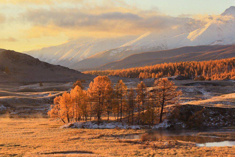 , Андрей Ершов