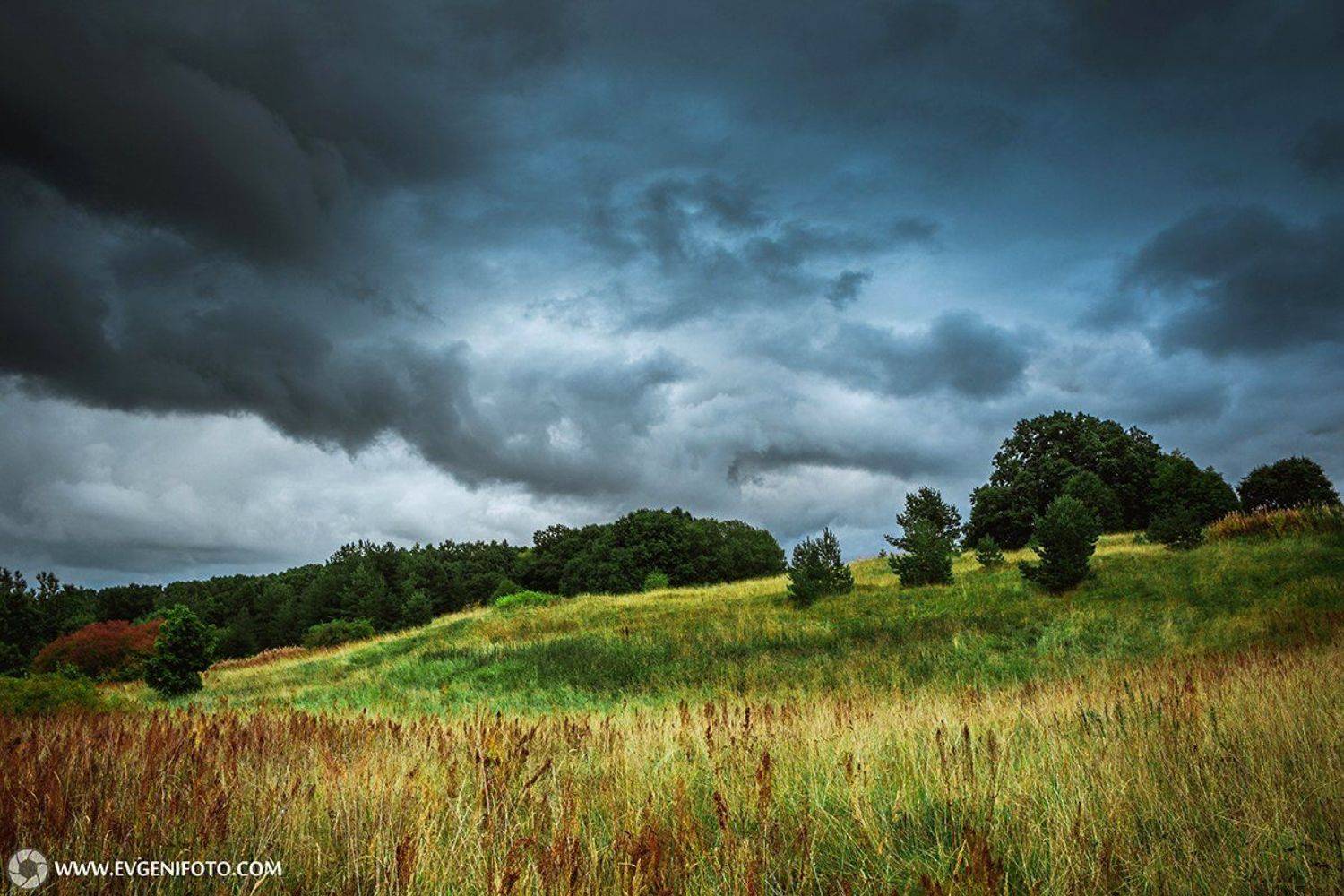 пейзаж,природа,landscape,nature, Евгений