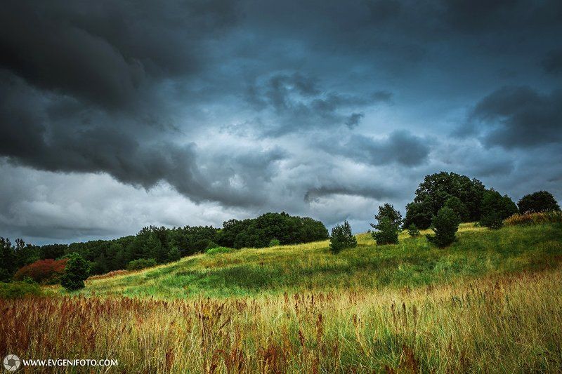 пейзаж,природа,landscape,nature Перед дождём фото превью
