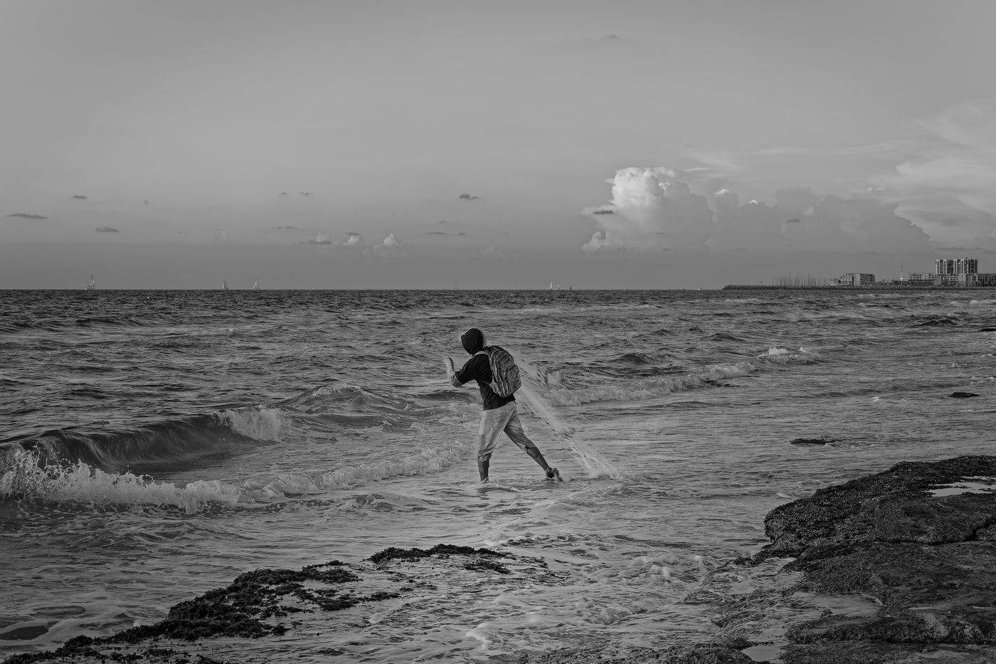 , David Solodar