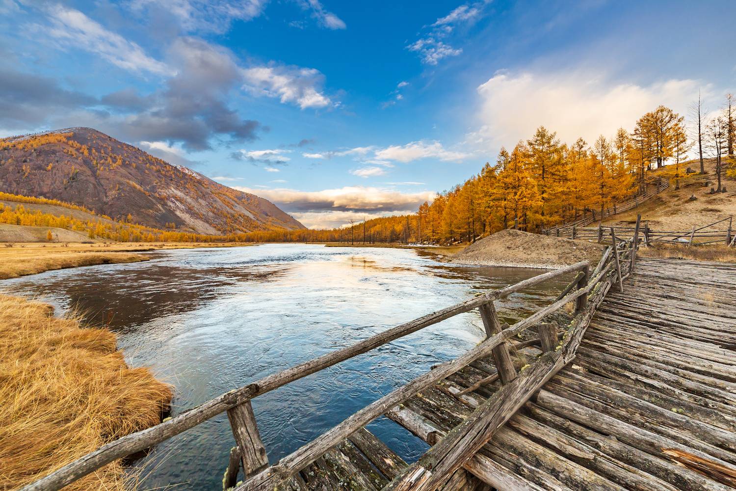 , Буянов Илья