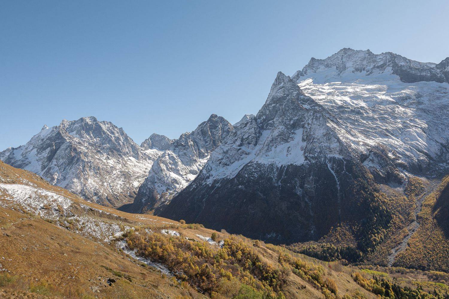 , Юрий Пужалин