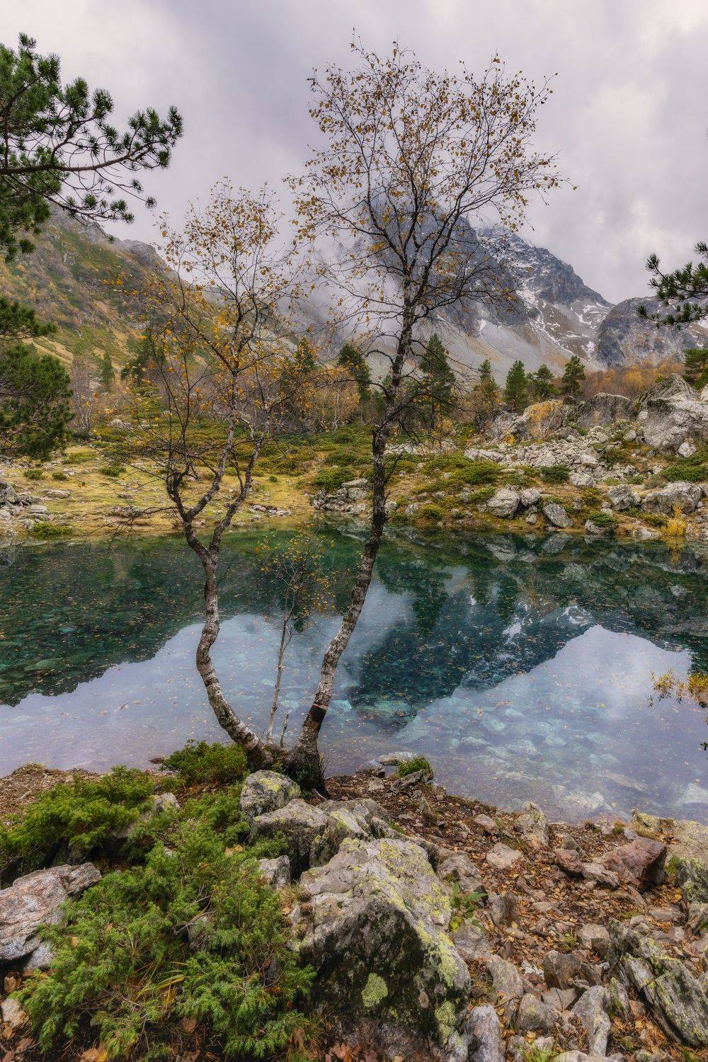 , Юлия Мальцева