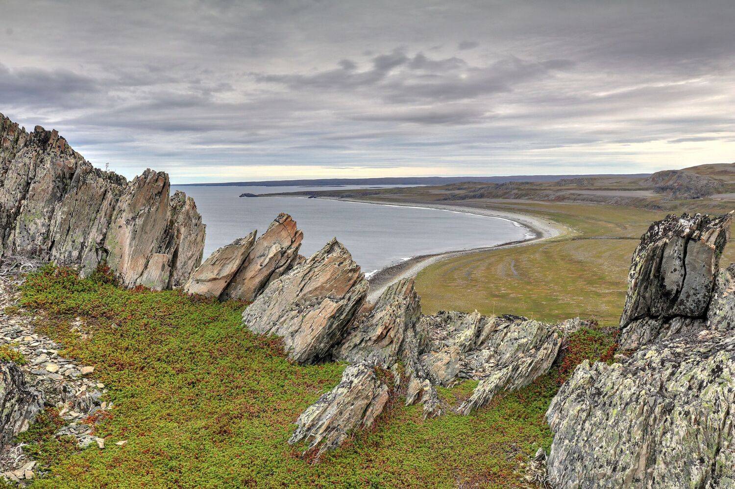 , Добролюбова Тамара