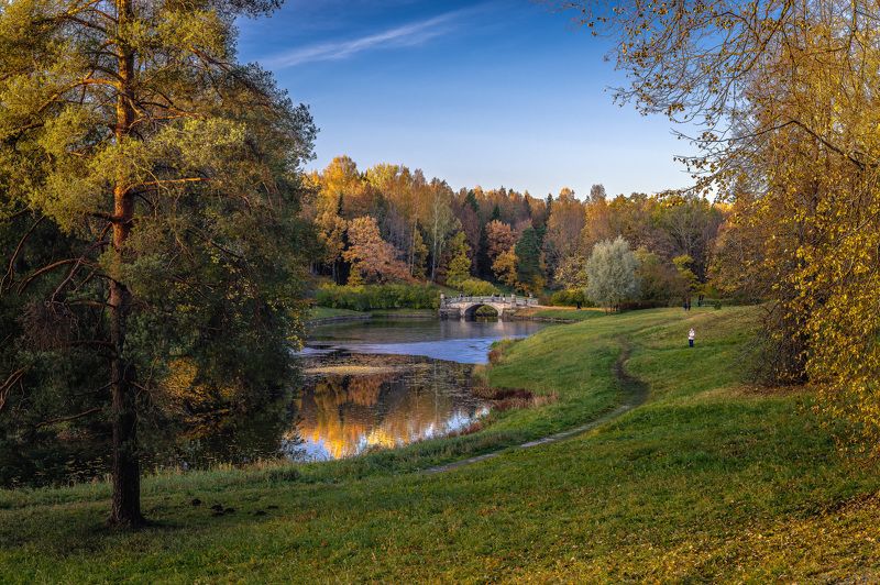 Золотая осень в Павловске фото превью
