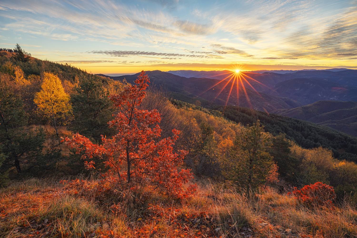 , Костадин Маджаров