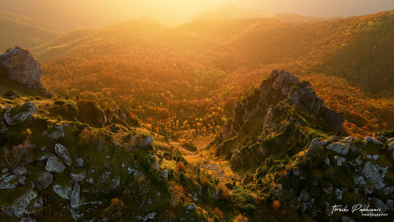 landscape, georgia, tree, autumn, PAPKIAURI TORNIKE