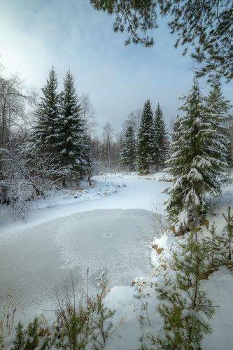 Первый снег