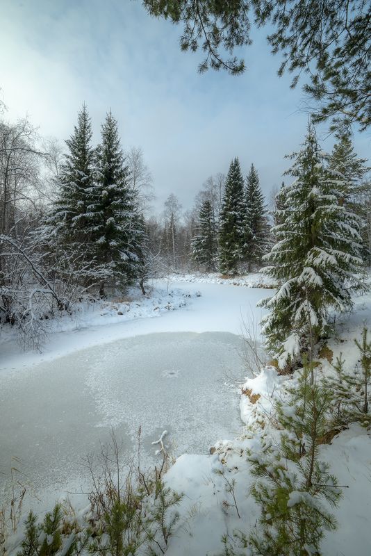 снег лес река урал  Первый снег фото превью