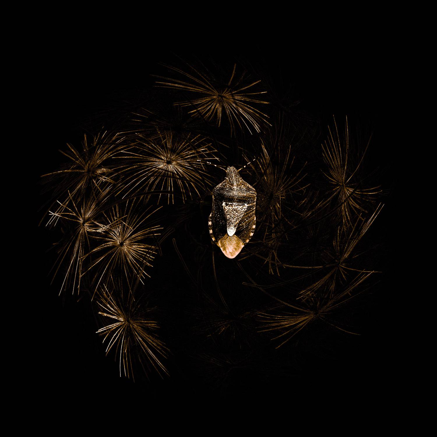 creative, креатив, манипуляция, гранж, концепция, одиночество, темнота, тьма, мрак, grunge, darkness, loneliness, Дмитрий Салтыков