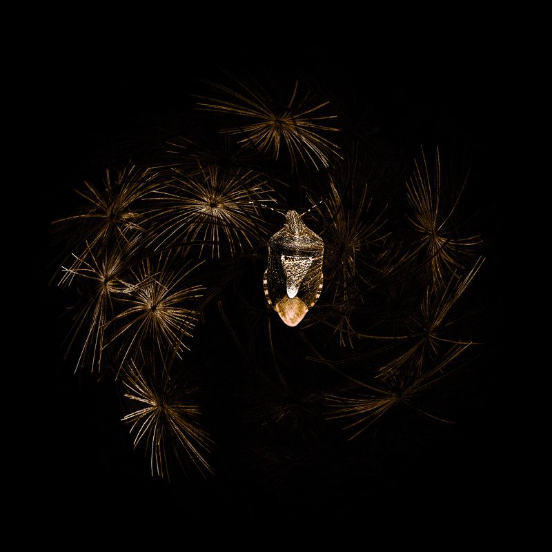 creative, креатив, манипуляция, гранж, концепция, одиночество, темнота, тьма, мрак, grunge, darkness, loneliness Один во тьме... фото превью