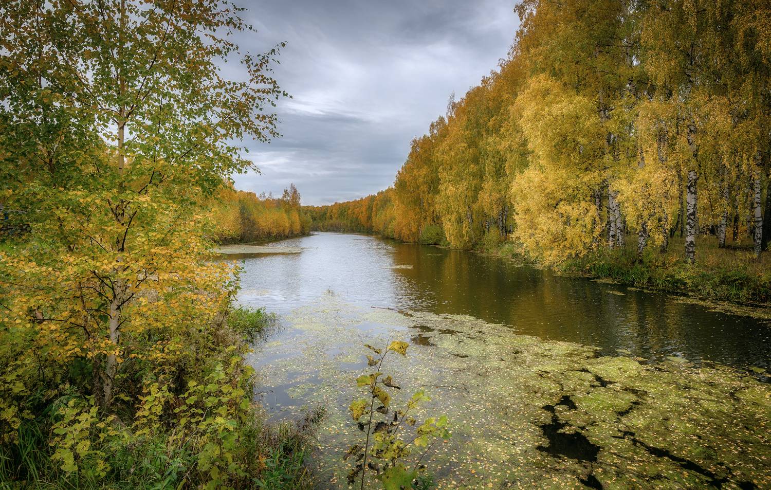 золотая осень, река, лес, Сергей Аникин
