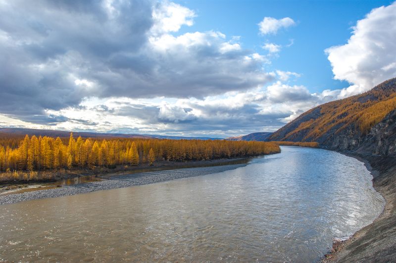 Нерские прижимы фото превью