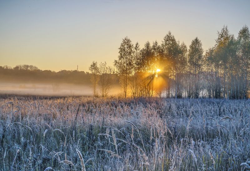 Раннее утро.. фото превью