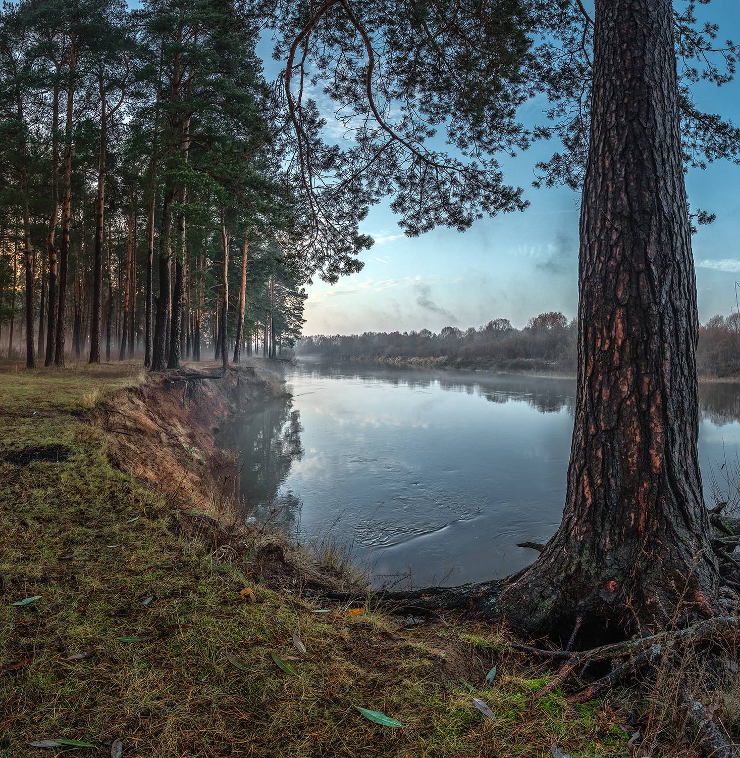 , Андреев Николай