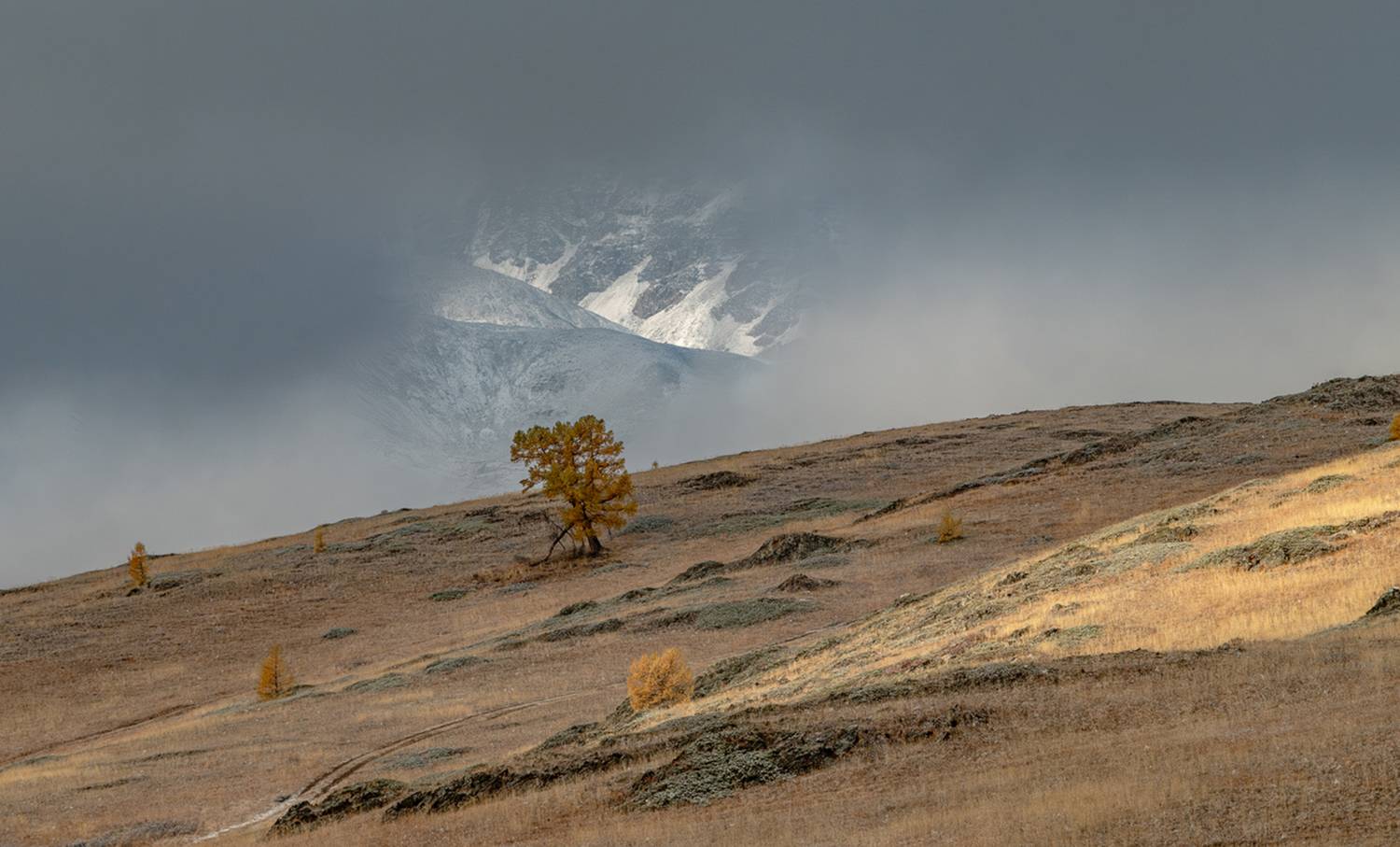 горный алтай, Ольга Челдыкова