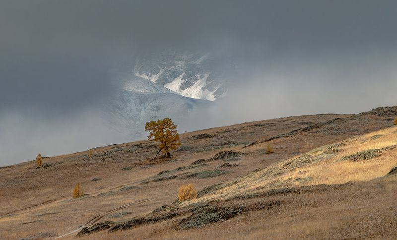 горный алтай Мираж фото превью