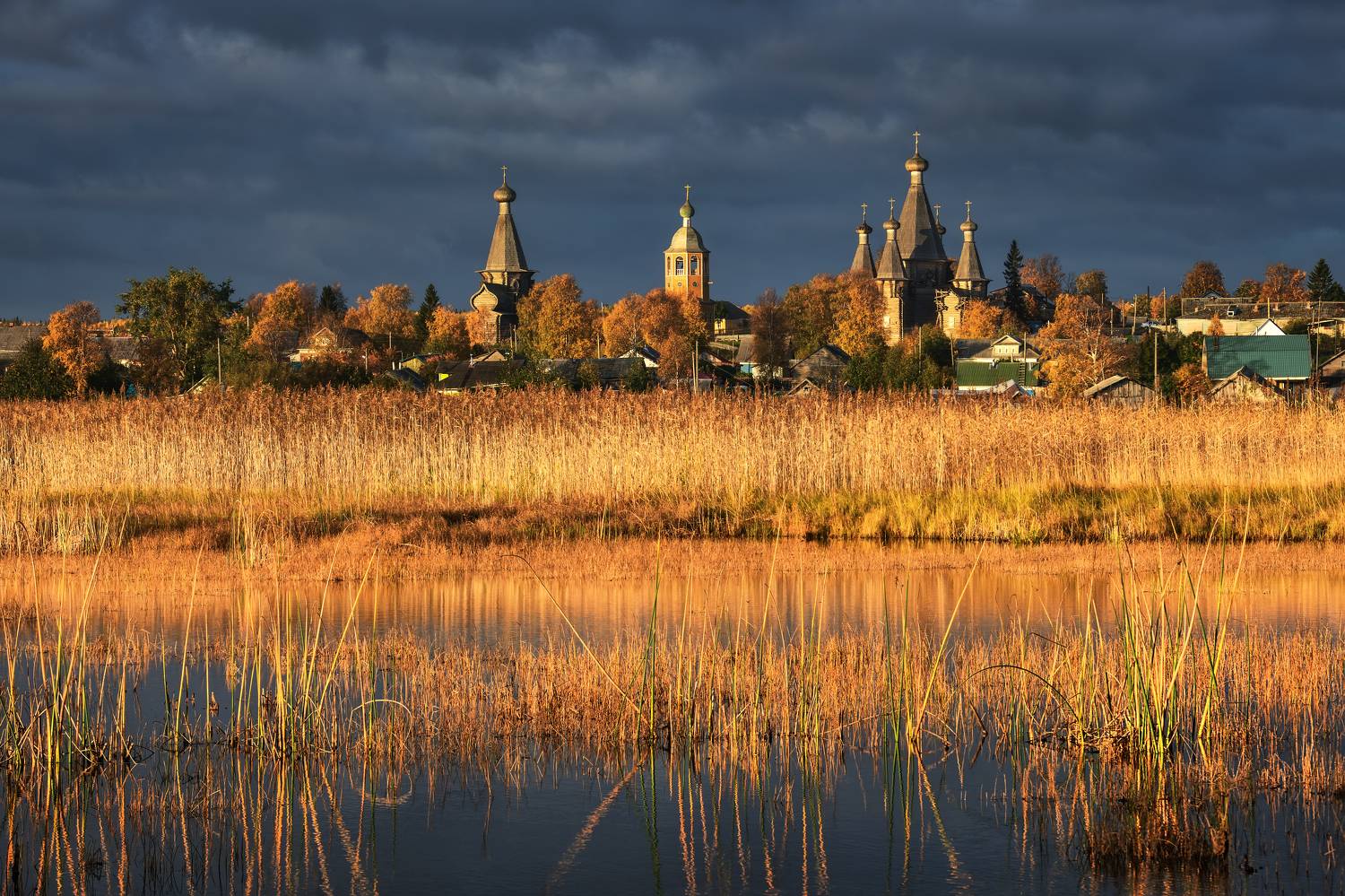 , Максим Евдокимов