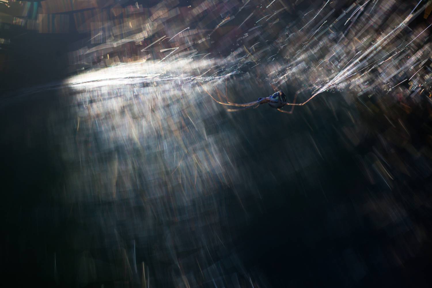 , Викулов Николай