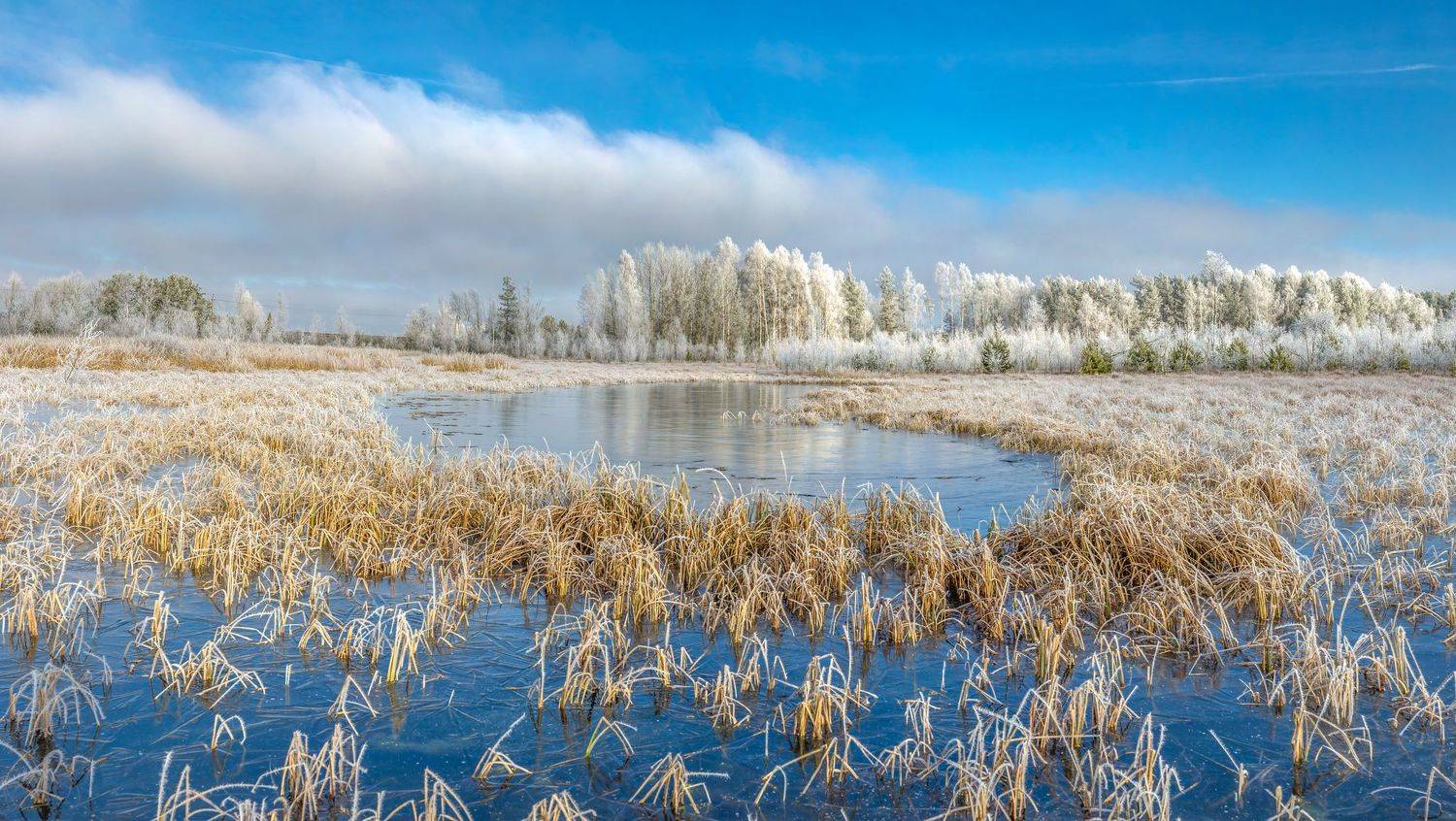, Руслан Авдевич